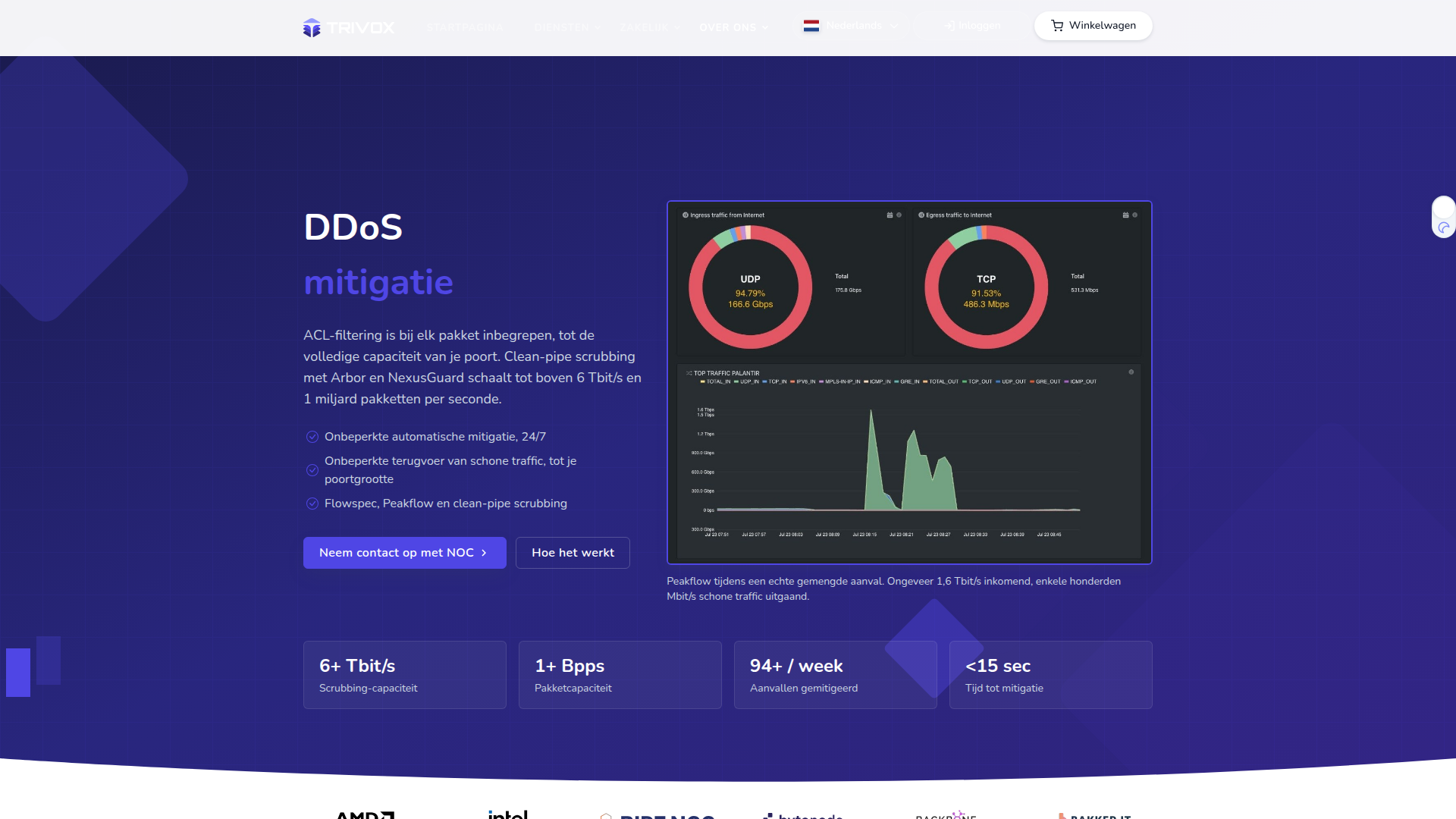 DDoS Protection Solutions - Trivox Hosting
